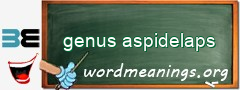 WordMeaning blackboard for genus aspidelaps